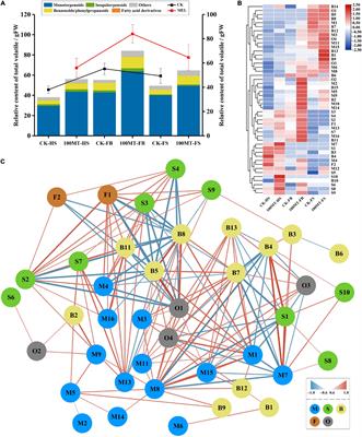 Metabolite and Transcriptome Profiling Analysis Revealed That Melatonin Positively Regulates Floral Scent Production in Hedychium coronarium